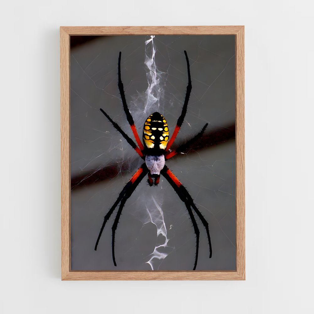 ap-spider-1 cadre Bois clair