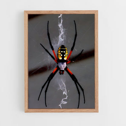 ap-spider-1 cadre Bois clair