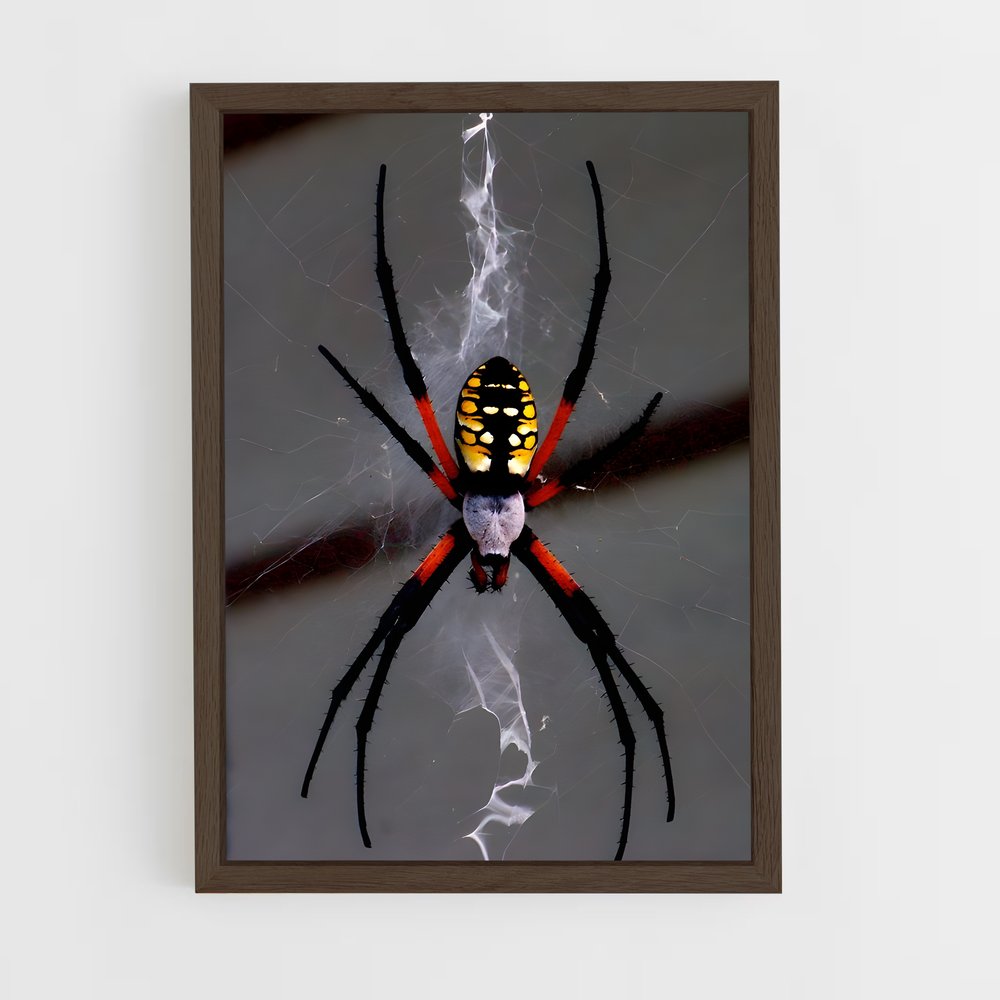 ap-spider-1 cadre Bois foncé