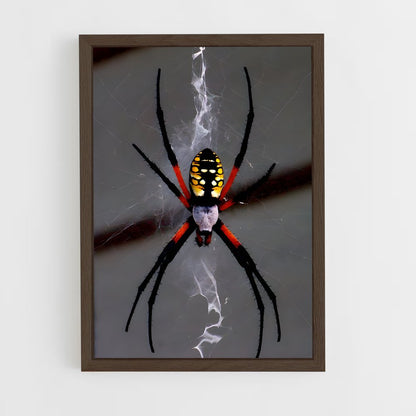 ap-spider-1 cadre Bois foncé