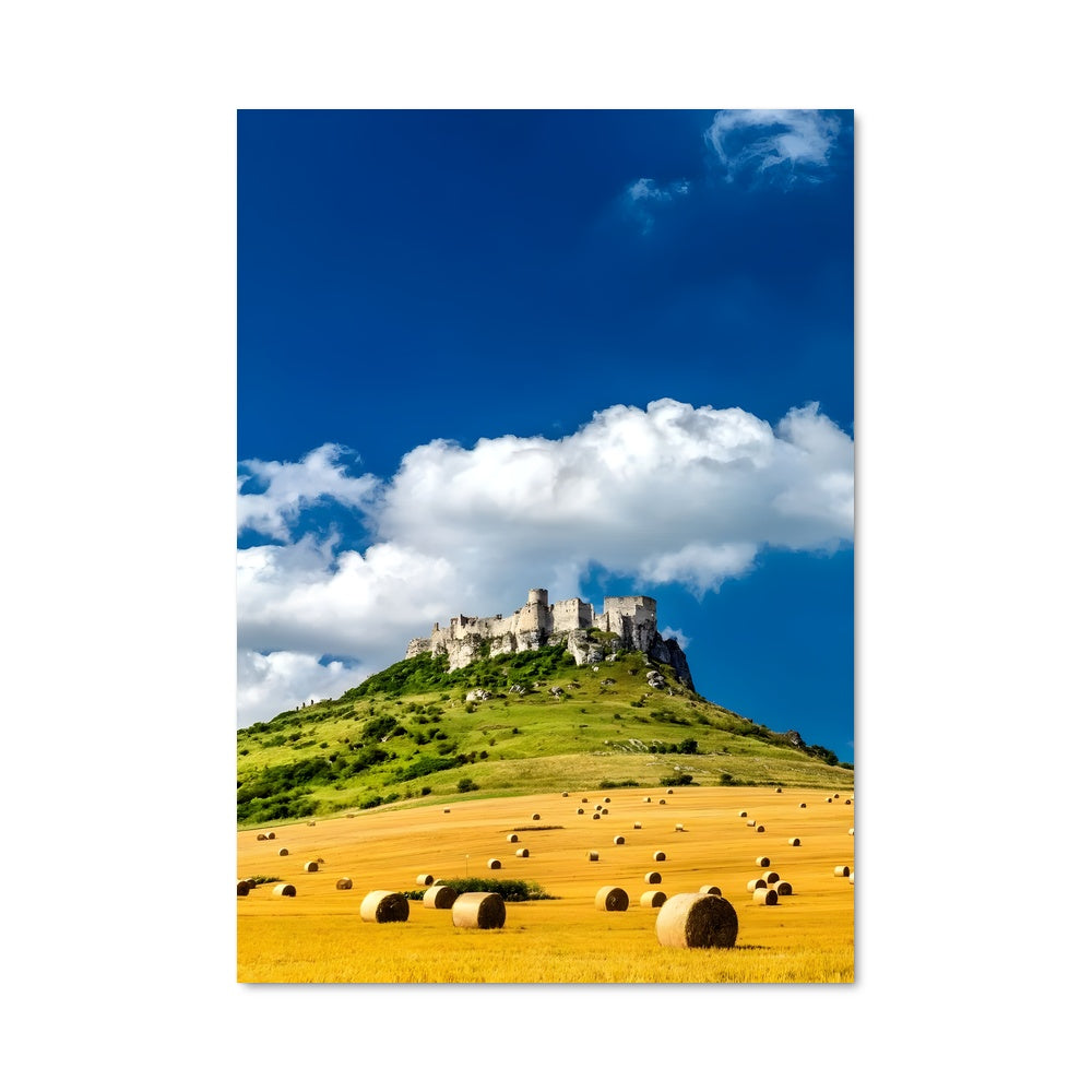 Poster Château de Paille