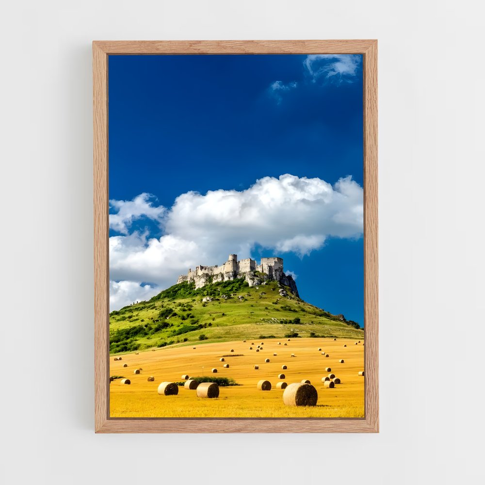 ap-spis castle-4 cadre Bois clair
