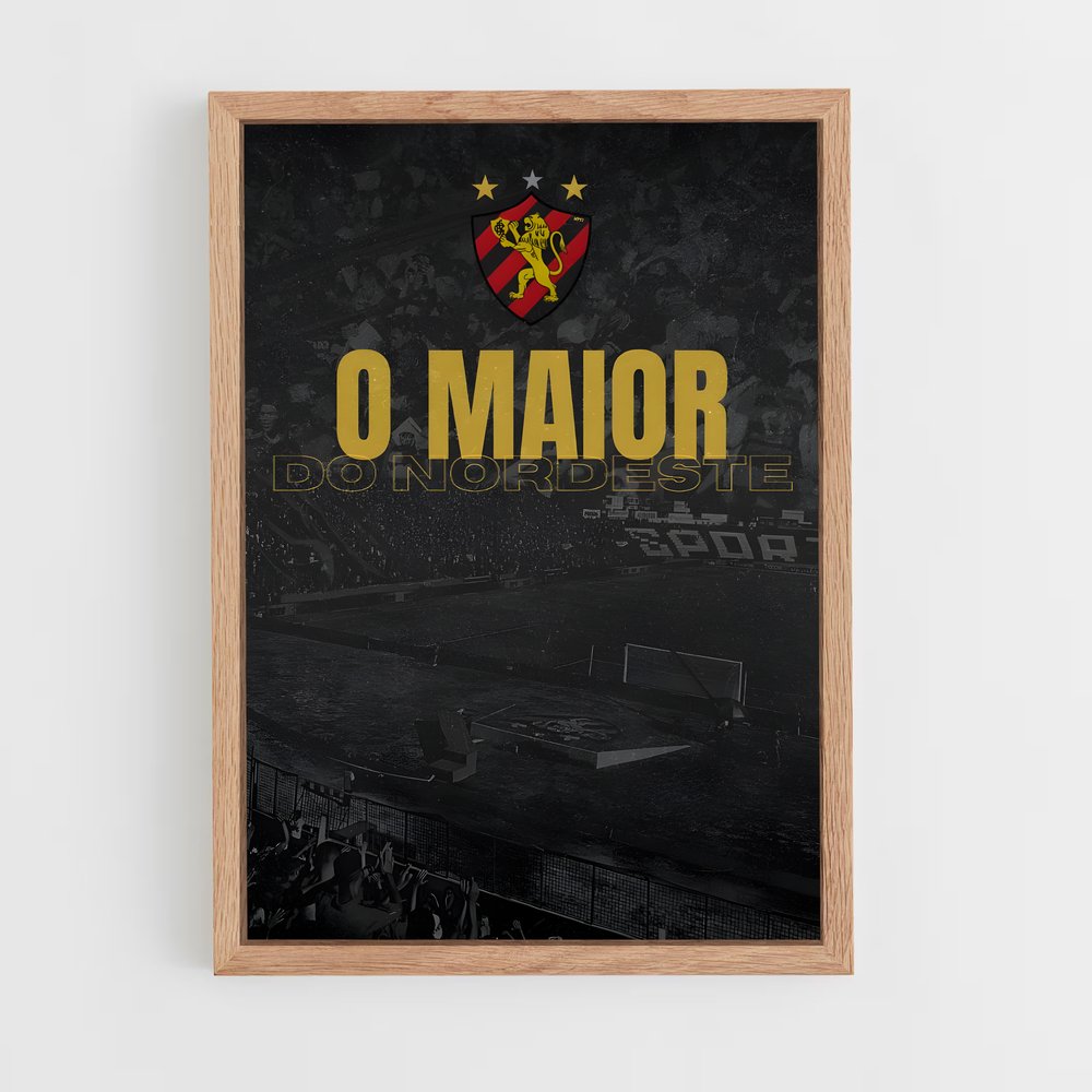 ap-sport club do recife-14 cadre Bois clair