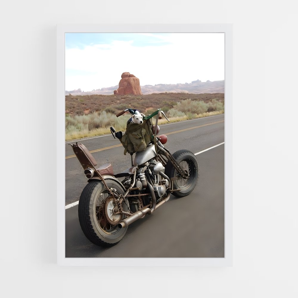 ap-sportster-1 cadre Blanc
