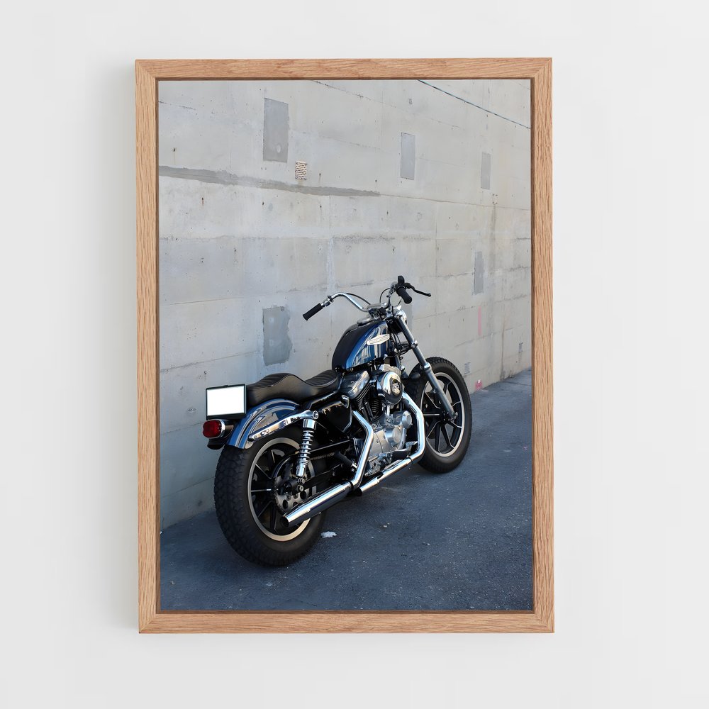 ap-sportster-6 cadre Bois clair