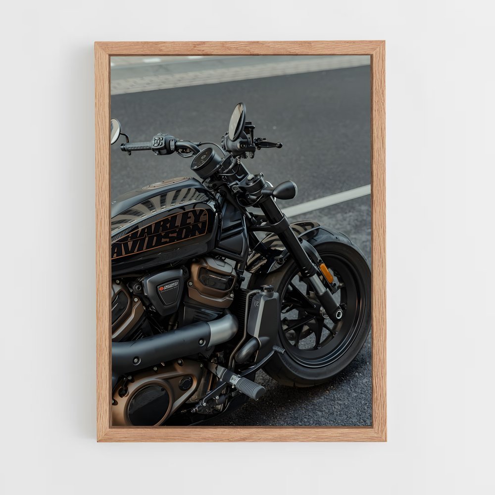 ap-sportster s-2 cadre Bois clair
