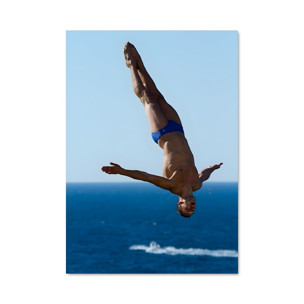 Poster Springboard diving 68193