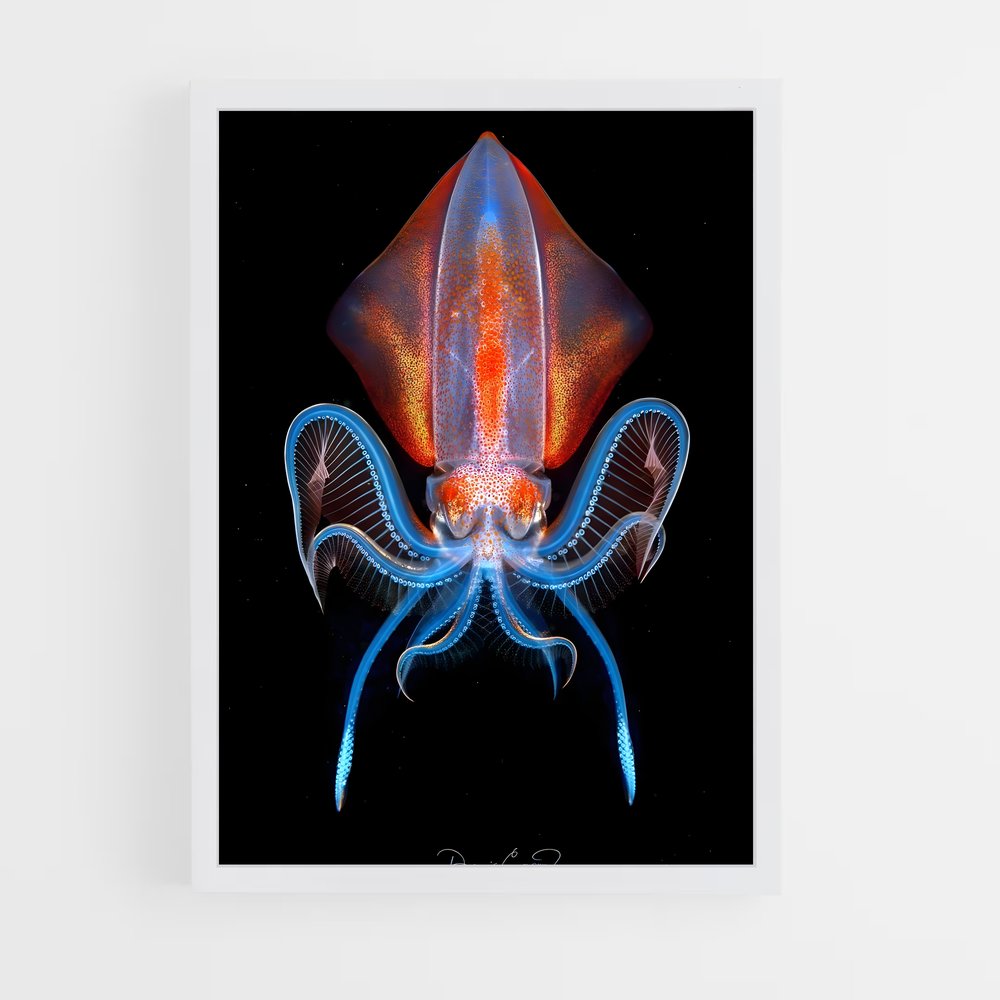ap-squid-2 cadre Blanc