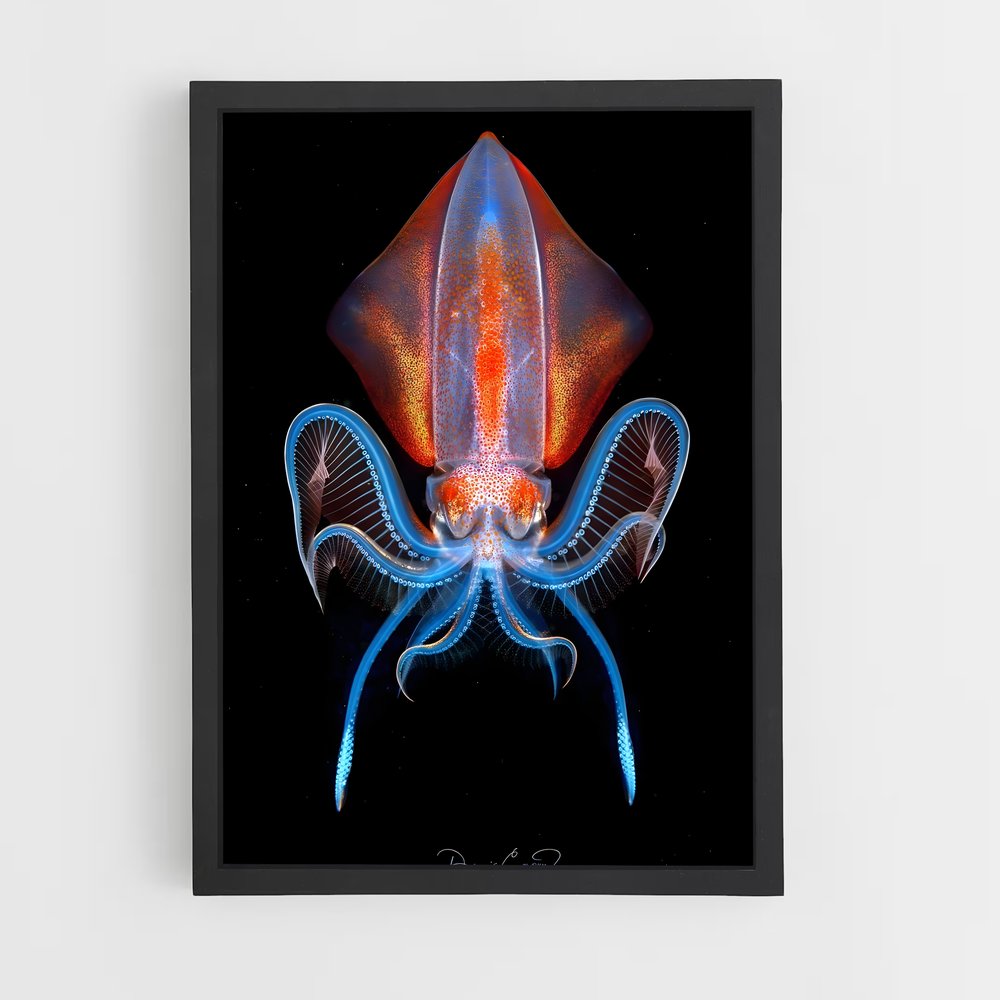 ap-squid-2 cadre Noir