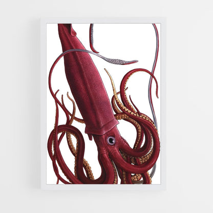 ap-squid-3 cadre Blanc