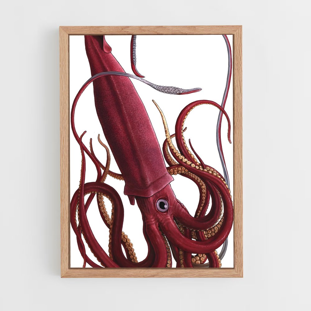 ap-squid-3 cadre Bois clair