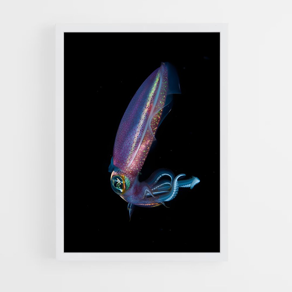 ap-squid-5 cadre Blanc