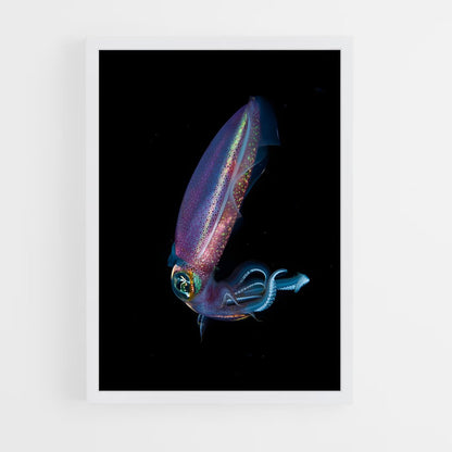 ap-squid-5 cadre Blanc