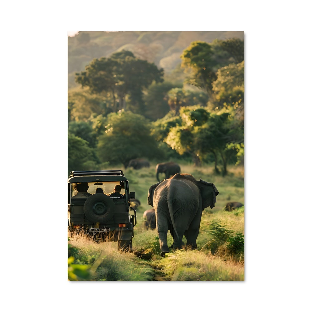 Poster Sri lanka 89299