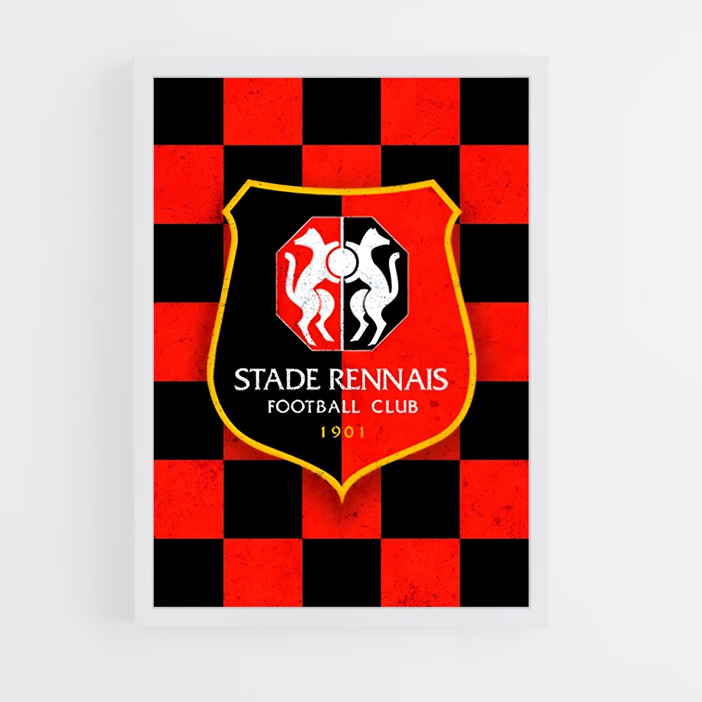 ap-stade rennais fc-10 cadre Blanc