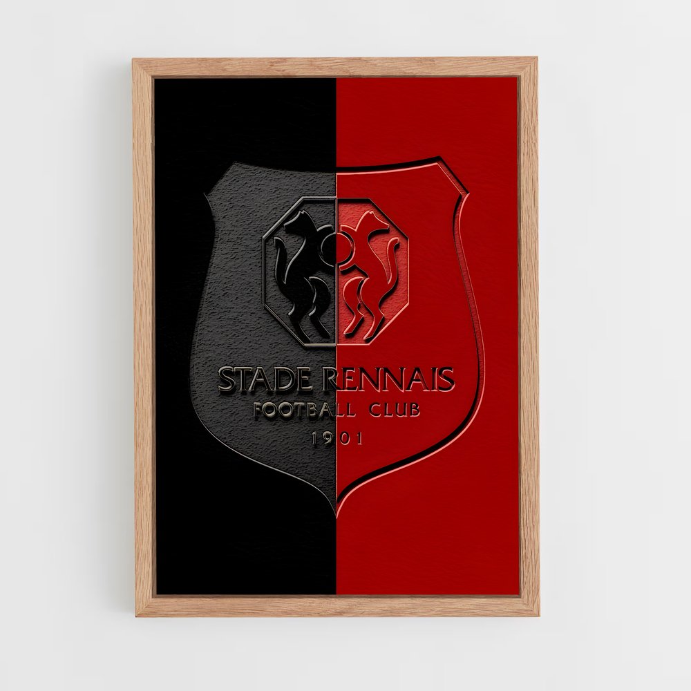 ap-stade rennais fc-3 cadre Bois clair