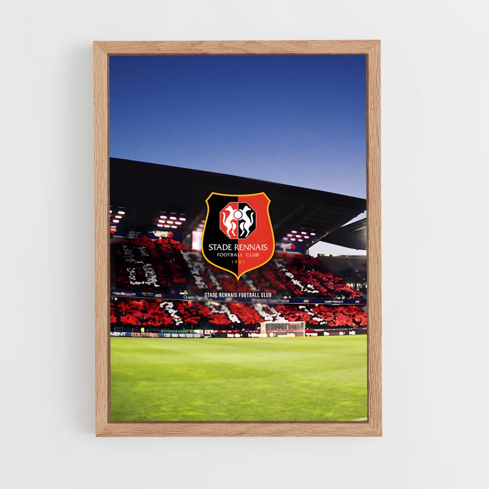 ap-stade rennais fc-8 cadre Bois clair