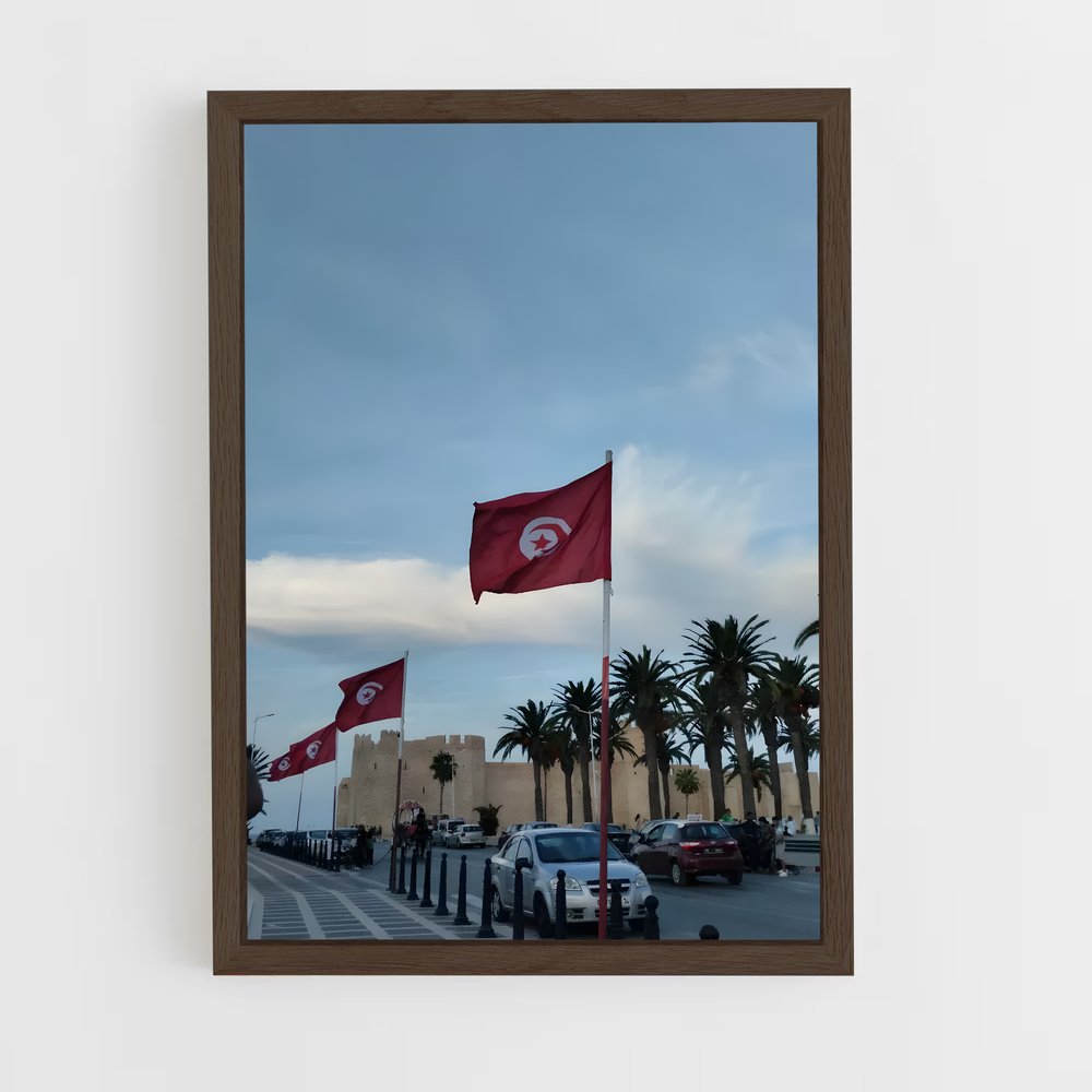 ap-stade tunisien-3 cadre Bois foncé