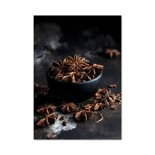 Poster Star anise 24627