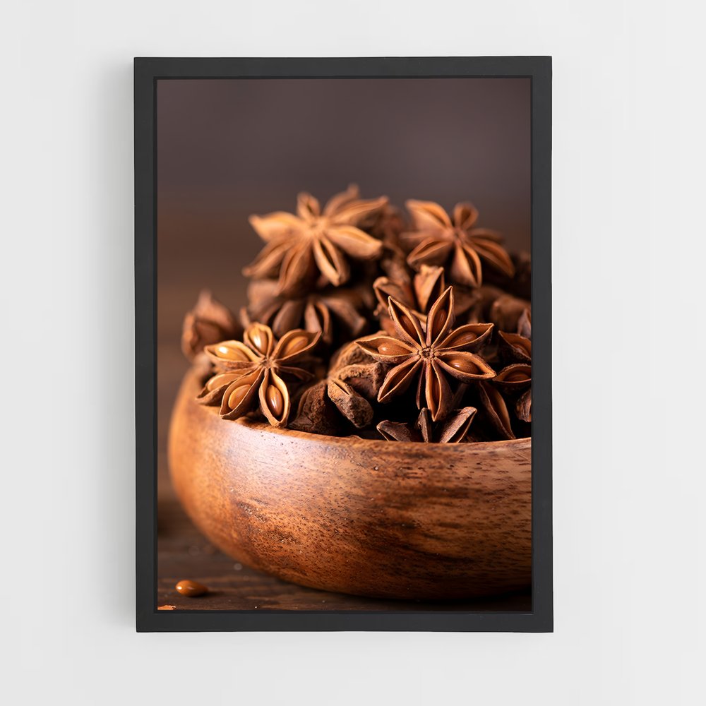 ap-star anise-1 cadre Noir