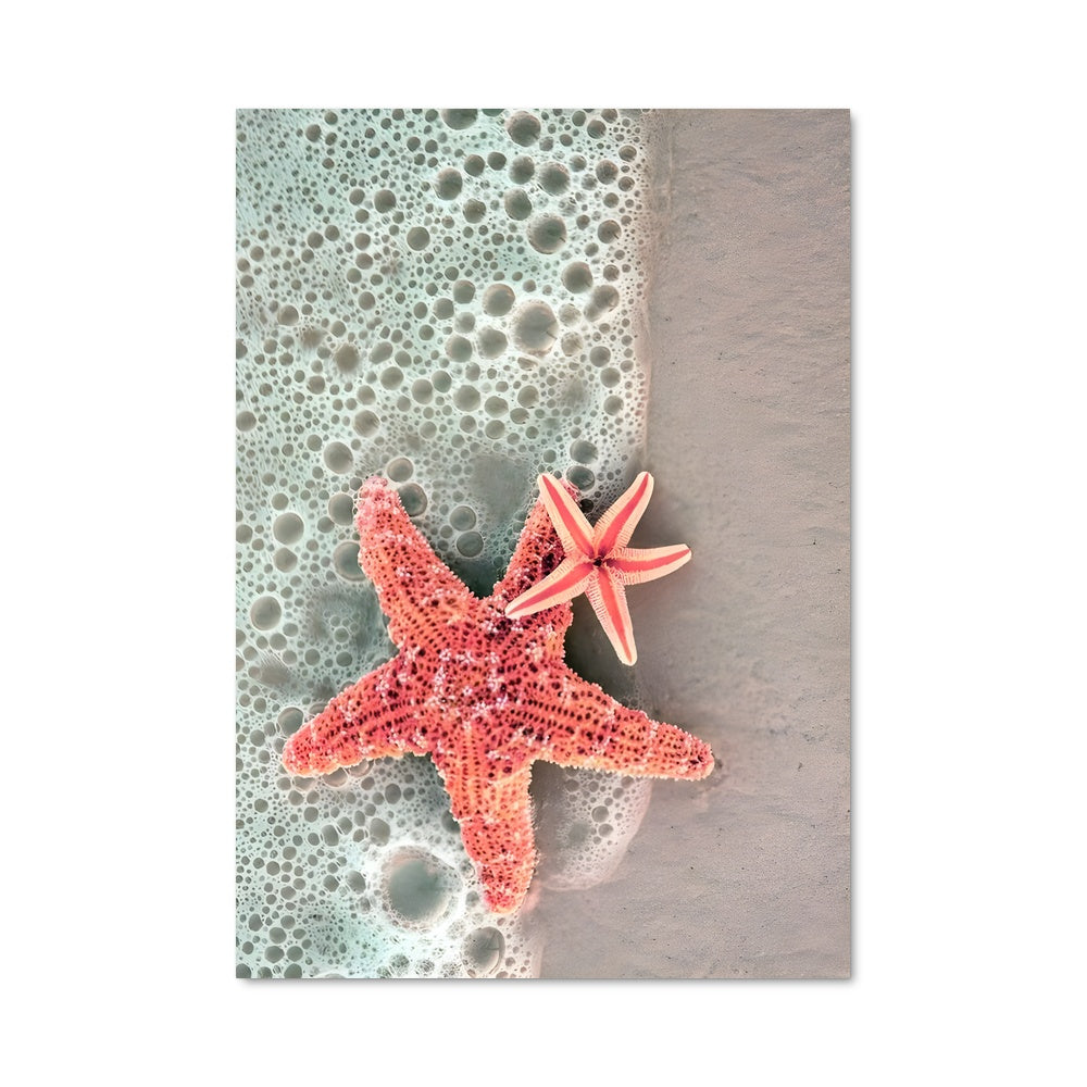 Poster Starfish 84419