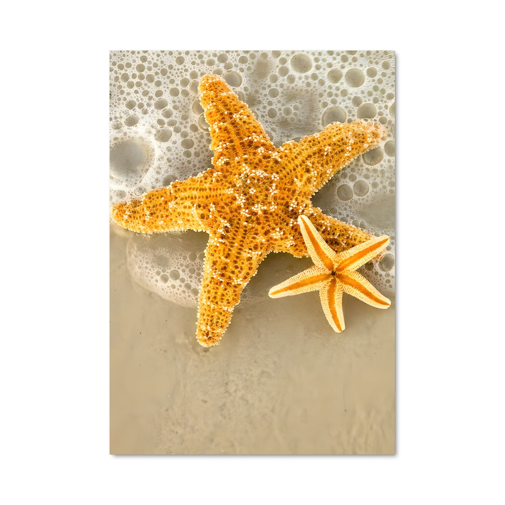 Poster Starfish 84423