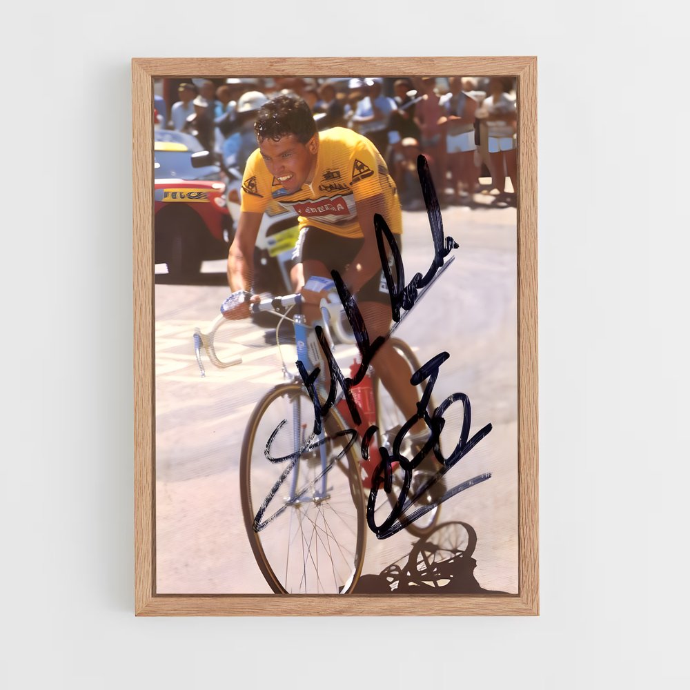 ap-stephen roche-1 cadre Bois clair