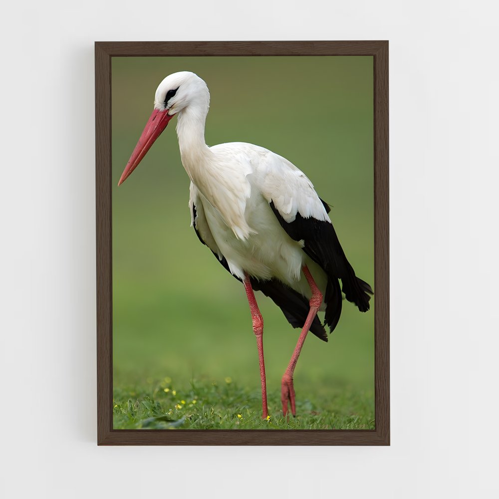 ap-stork-1 cadre Bois foncé