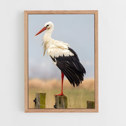 ap-stork-2 cadre Bois clair