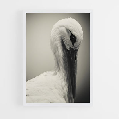 ap-stork-3 cadre Blanc