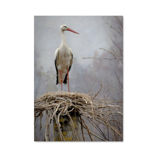 Poster La Cigogne Éveillée