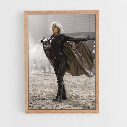 ap-storm x-men-2 cadre Bois clair