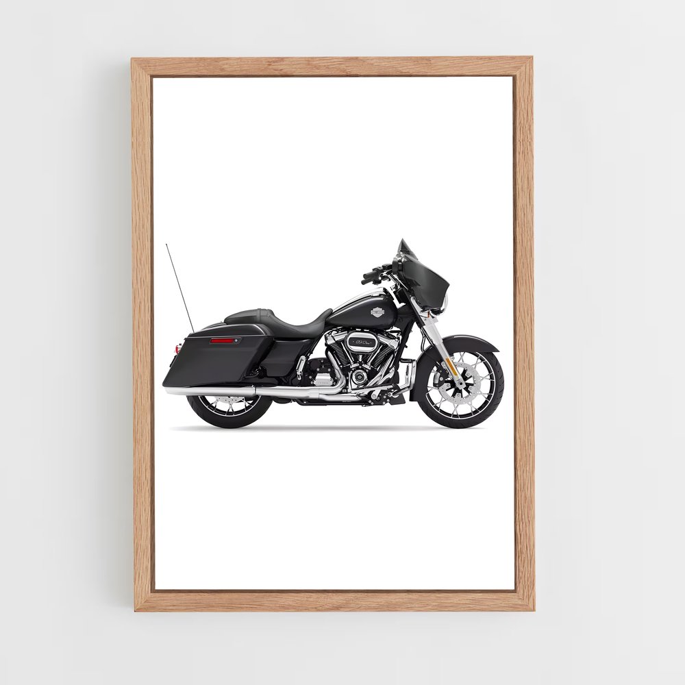 ap-street glide special-3 cadre Bois clair