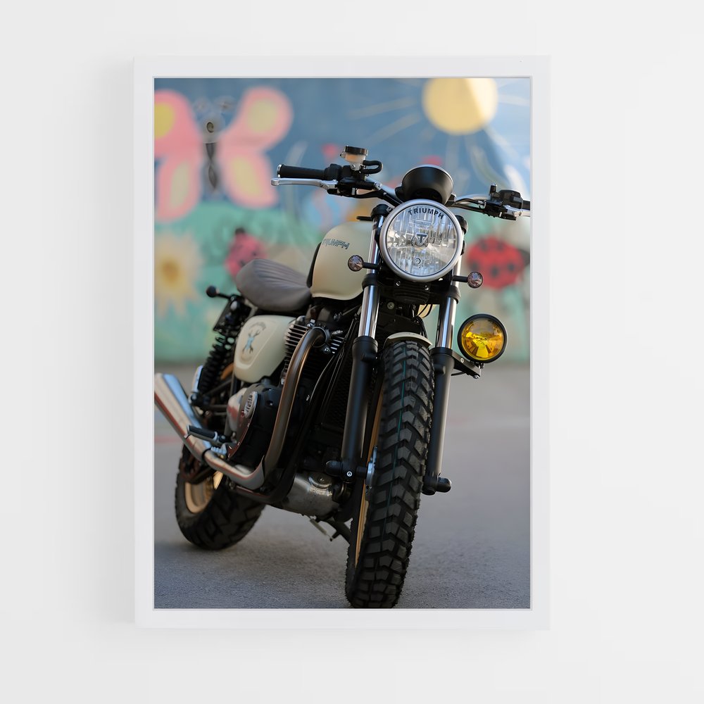 ap-street twin-2 cadre Blanc