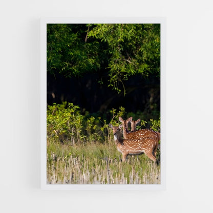 ap-sundarbans-5 cadre Blanc