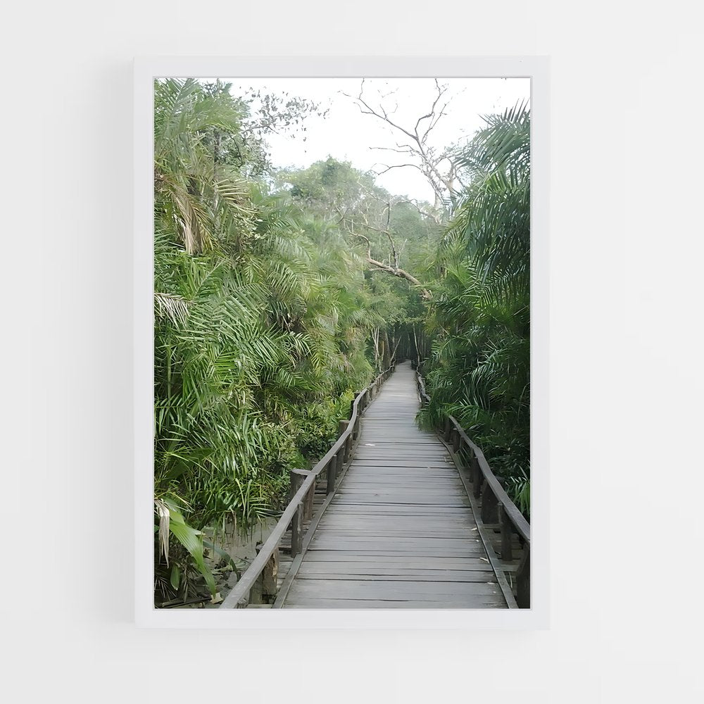 ap-sundarbans-6 cadre Blanc