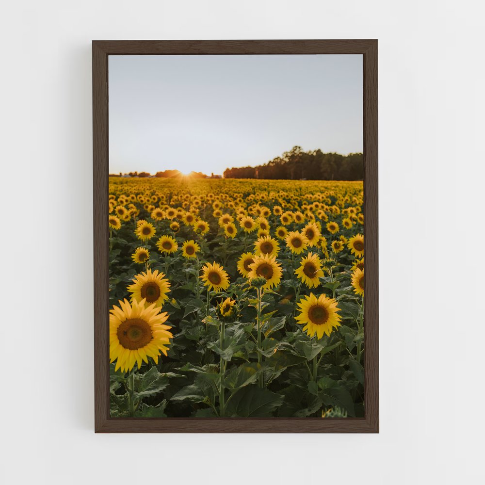 ap-sunflower-4 cadre Bois foncé