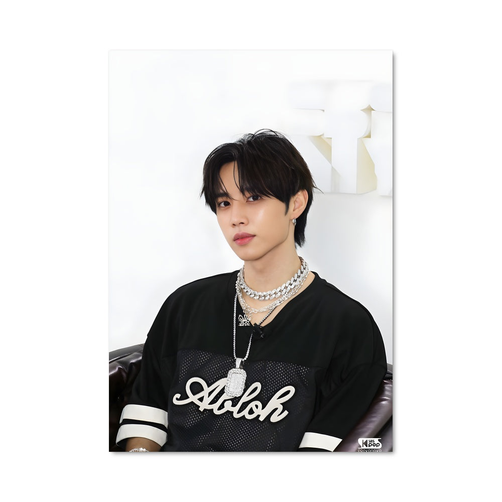 Poster Sunwoo 49755