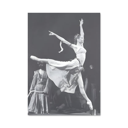 Poster Svetlana zakharova 65675