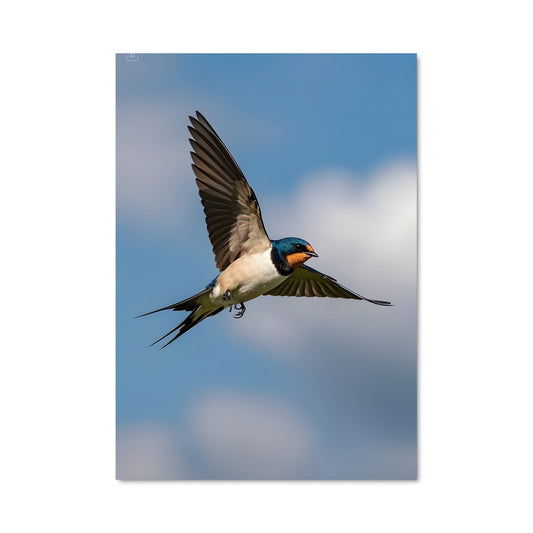 Poster L'Envol du Martin