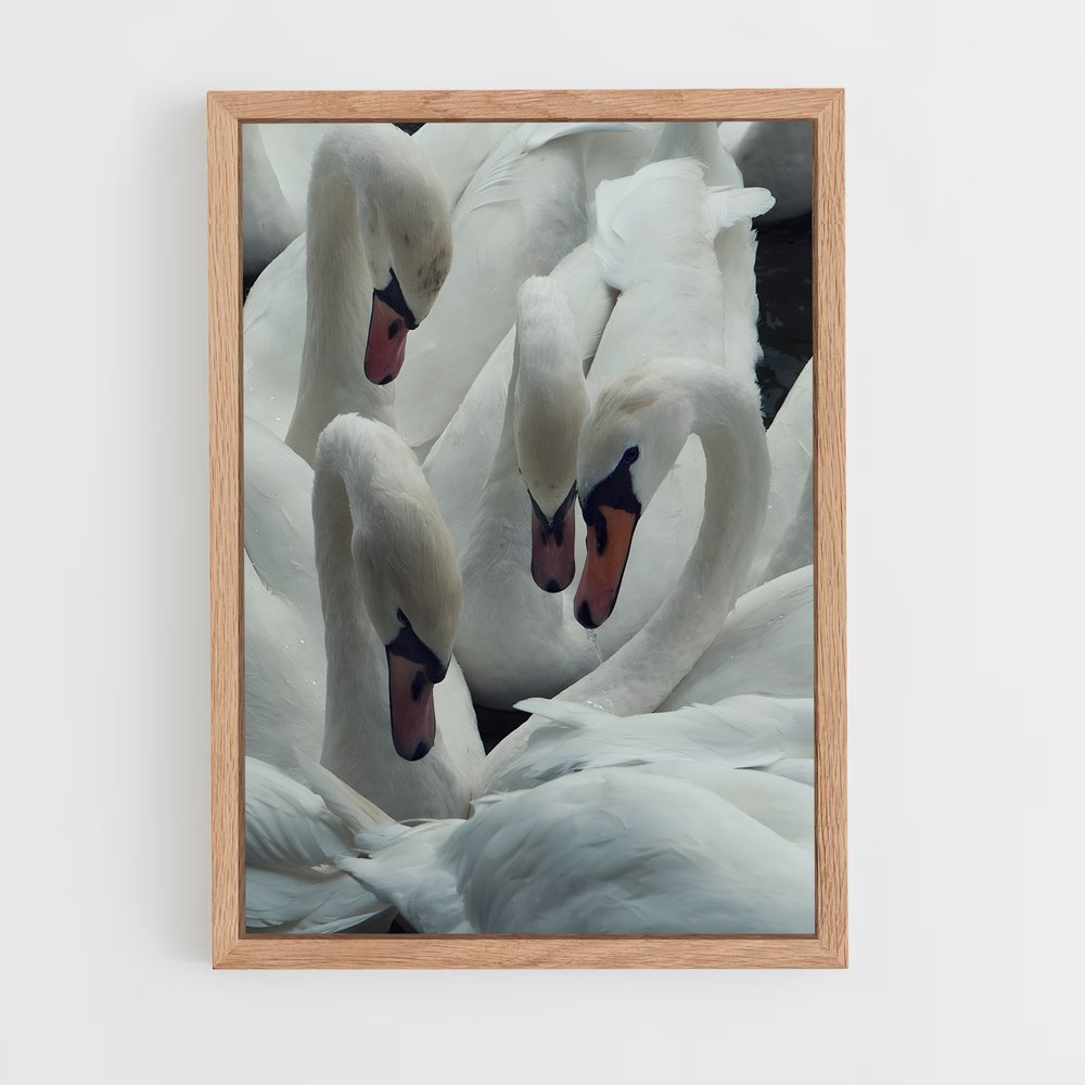 ap-swan-7 cadre Bois clair