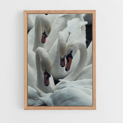 ap-swan-7 cadre Bois clair