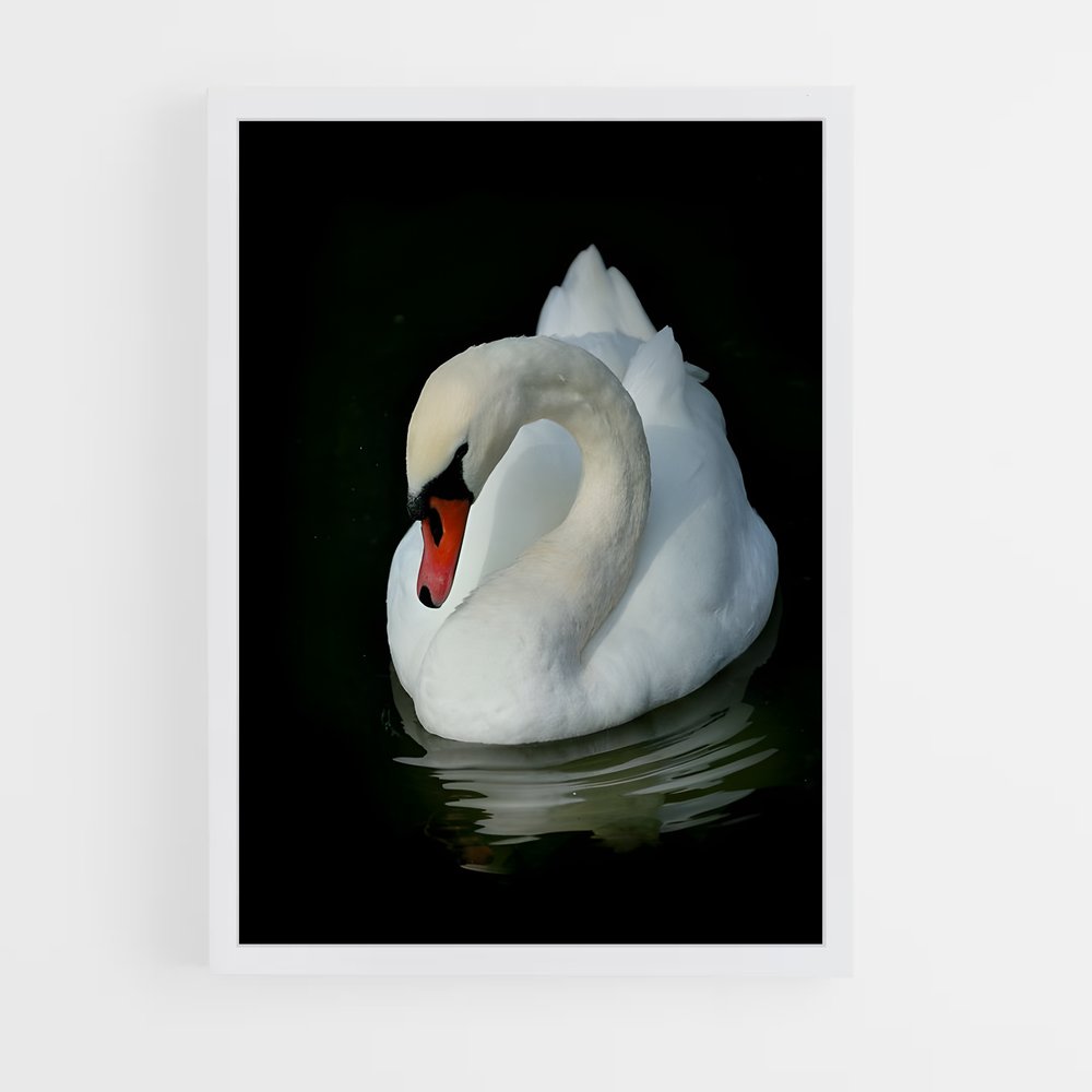 ap-swan-9 cadre Blanc