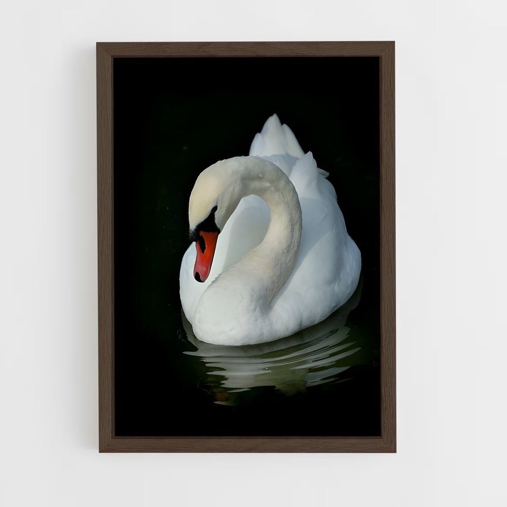 ap-swan-9 cadre Bois foncé