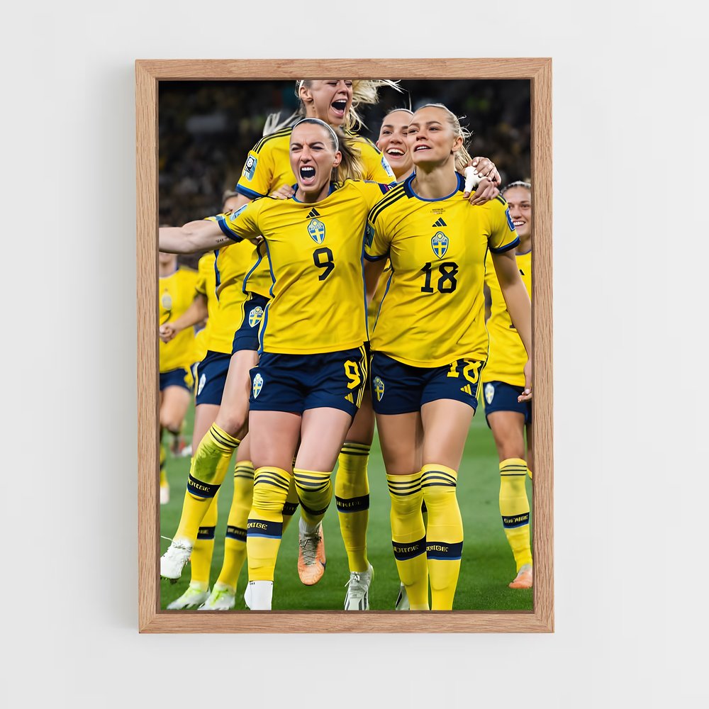 ap-sweden national football team-5 cadre Bois clair