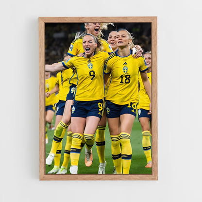 ap-sweden national football team-5 cadre Bois clair