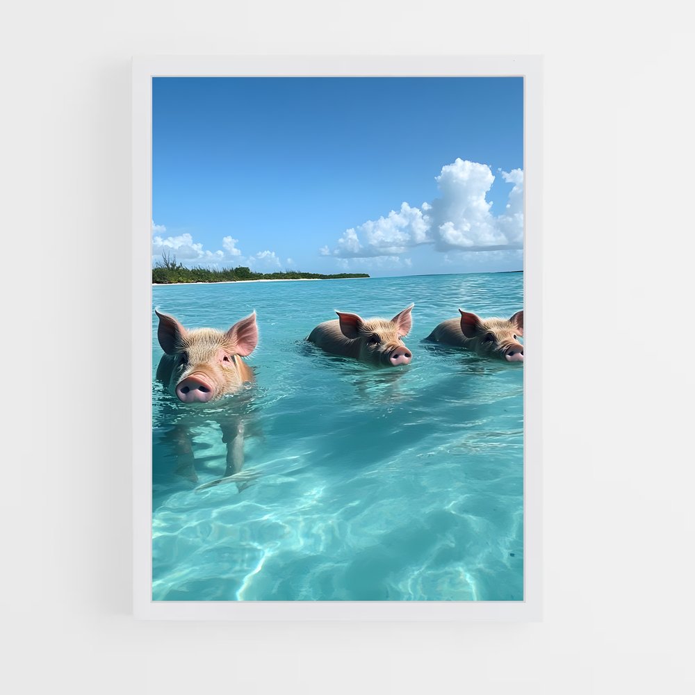 ap-swimming pigs beach-2 cadre Blanc