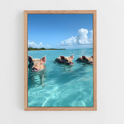 ap-swimming pigs beach-2 cadre Bois clair