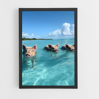 ap-swimming pigs beach-2 cadre Noir
