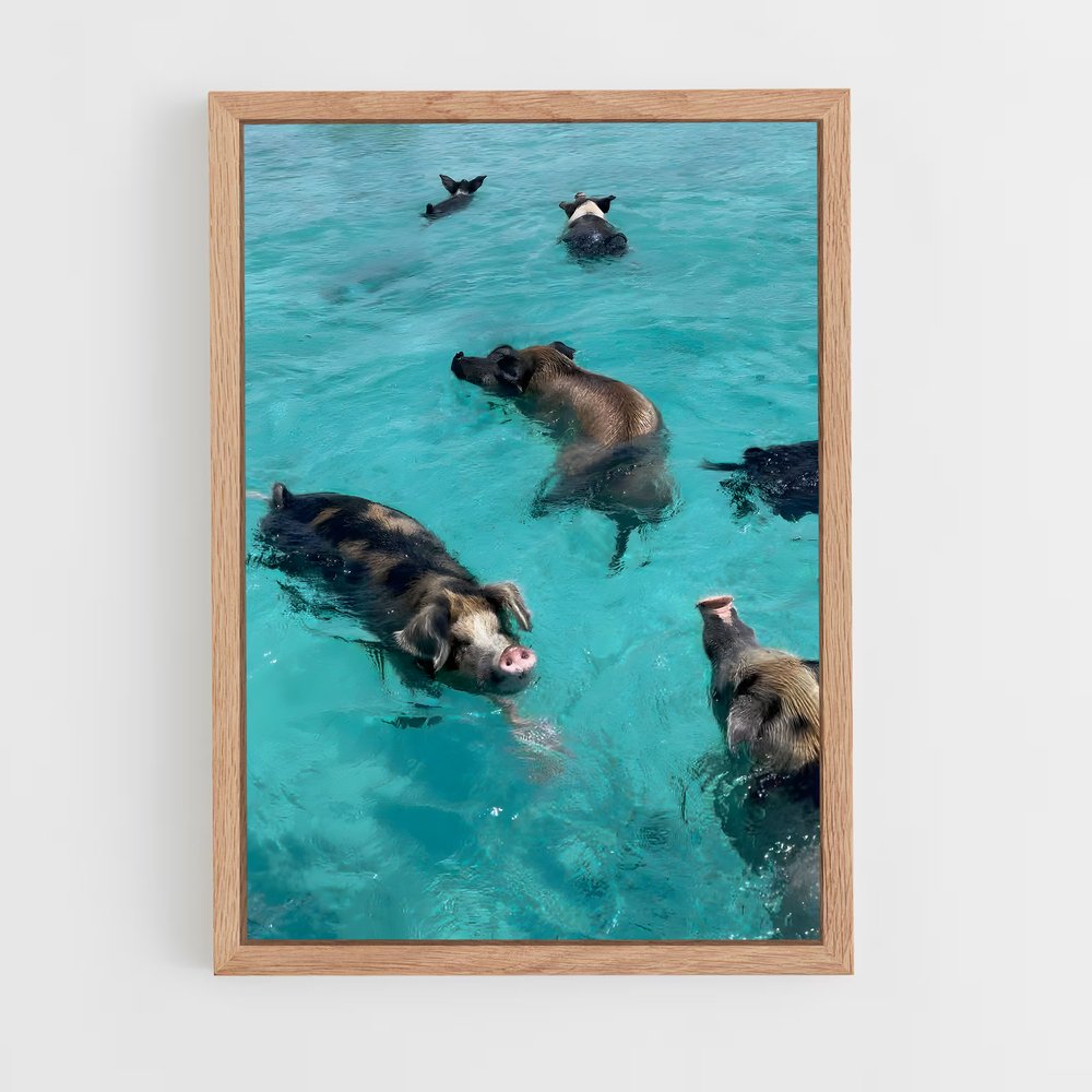 ap-swimming pigs beach-5 cadre Bois clair